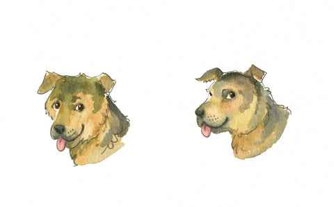 Two images of a smiling German Shepherd's head